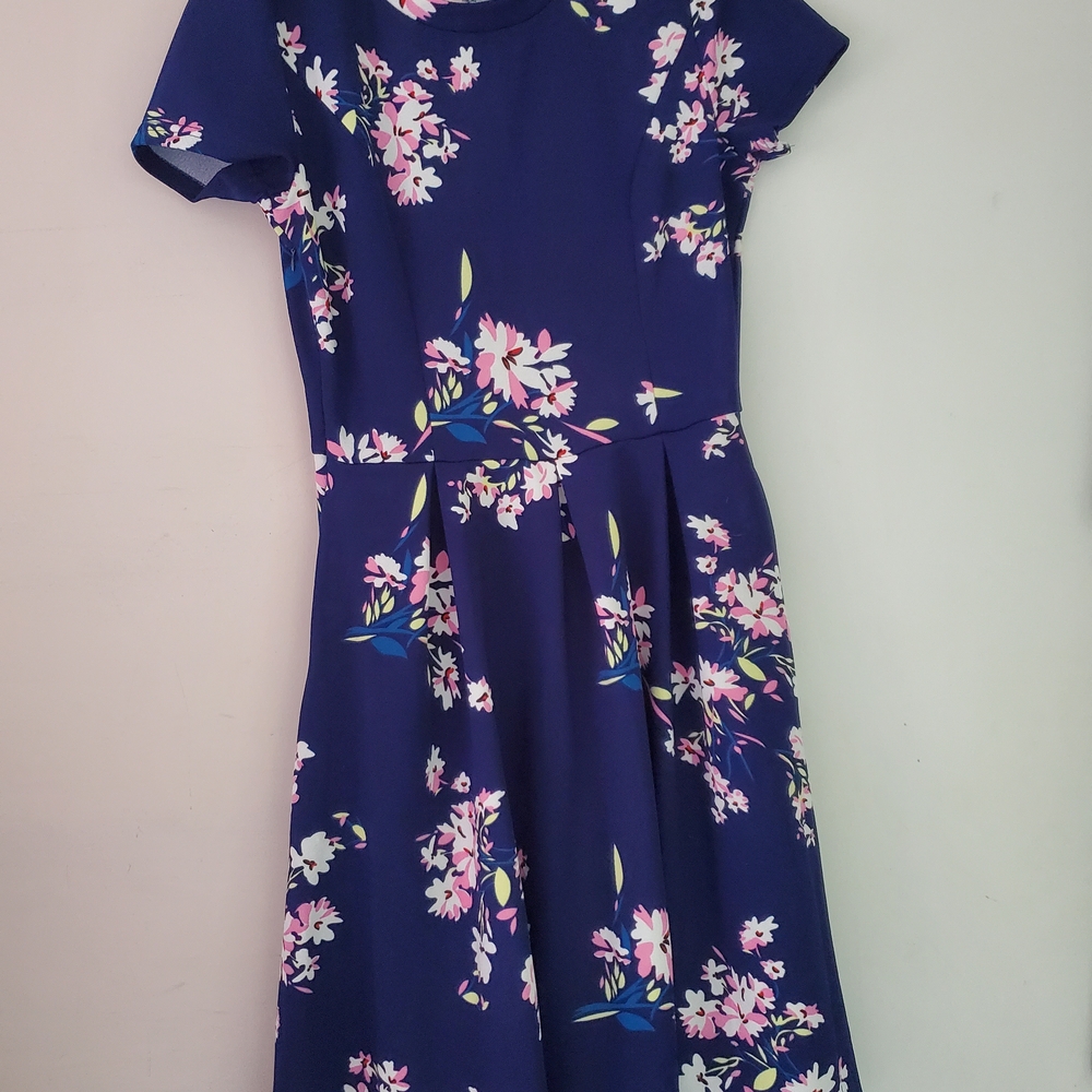 Floral Blue Dress